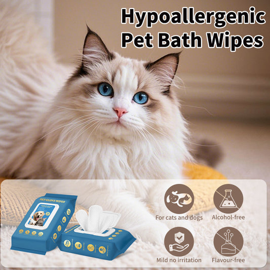 Pet bathing cleaning dry shampoo wipes gloves